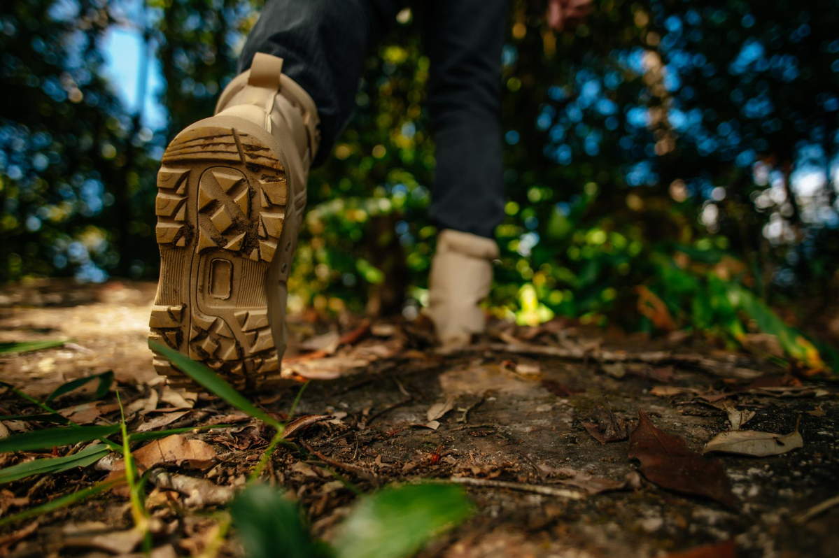 Descubra As Melhores Trilhas Em Maresias Para Aproveitar A Natureza