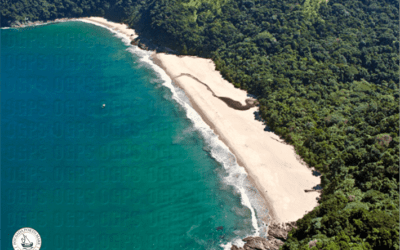 Praias vizinhas à Maresias