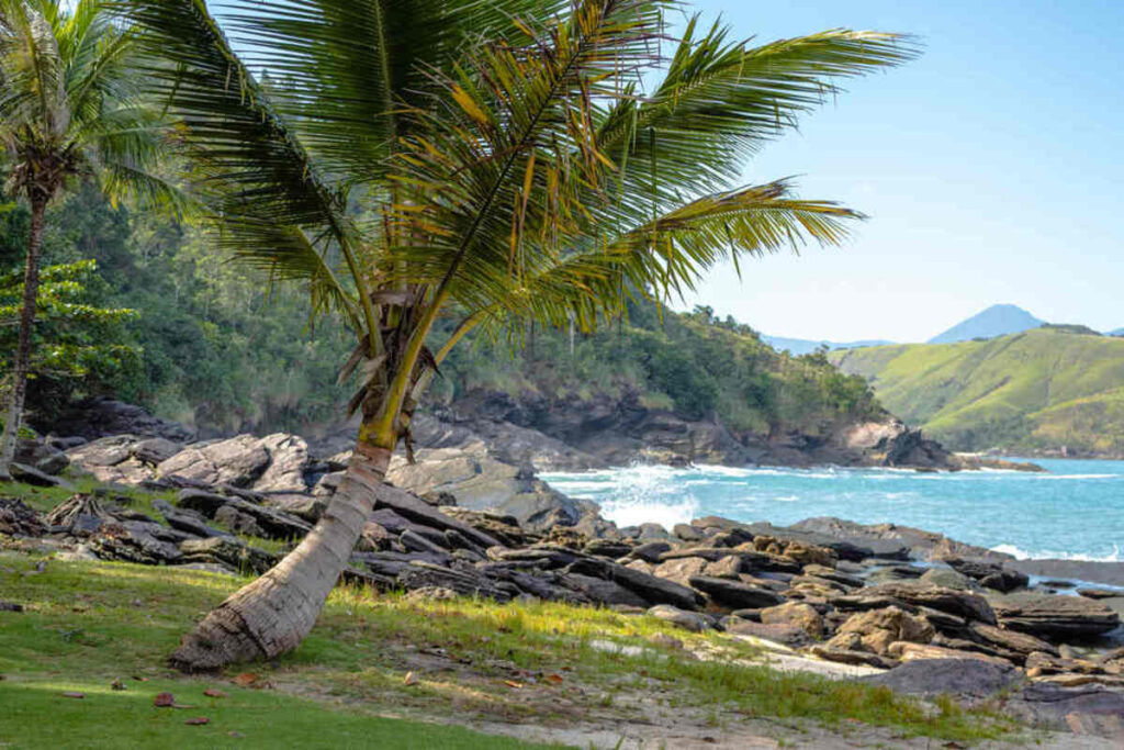 o que fazer na praia de calhetas sao sebastiao (1)