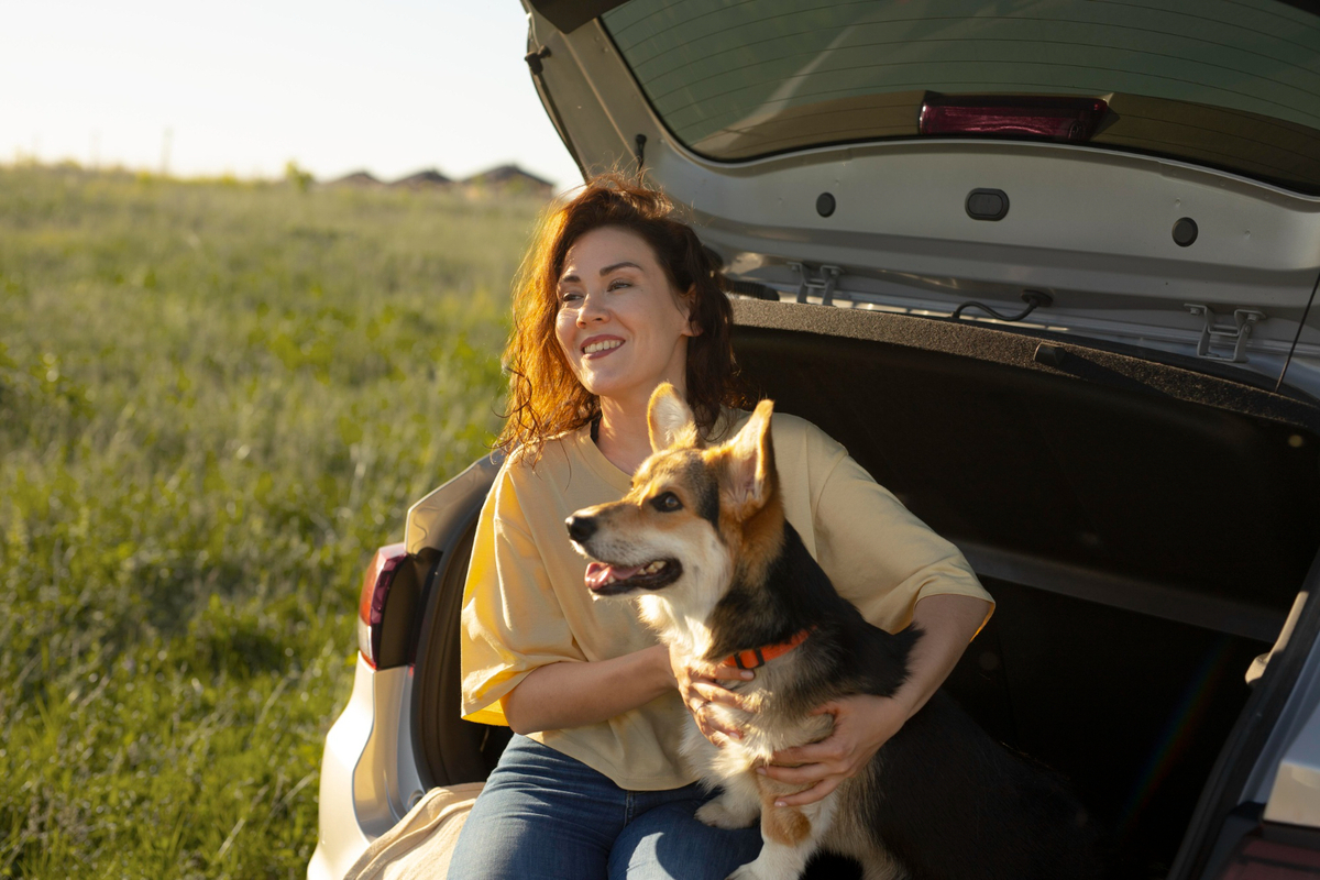 Dicas para viajar com seu pet