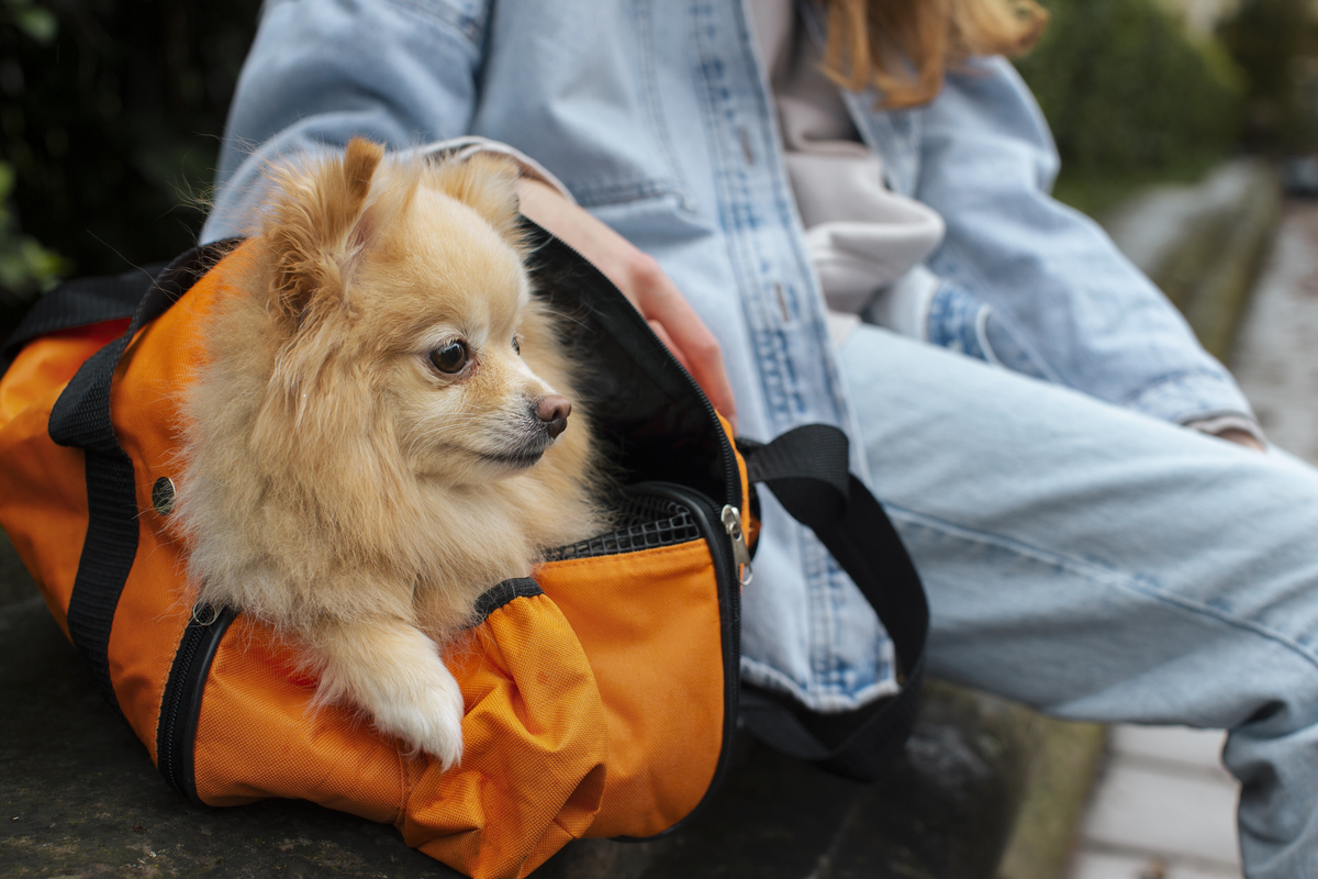 dicas de hospedagem pet friendly em Maresias.