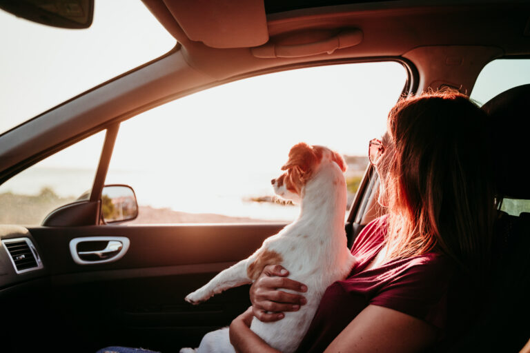 Como organizar uma viagem com pet: tudo o que você precisa saber