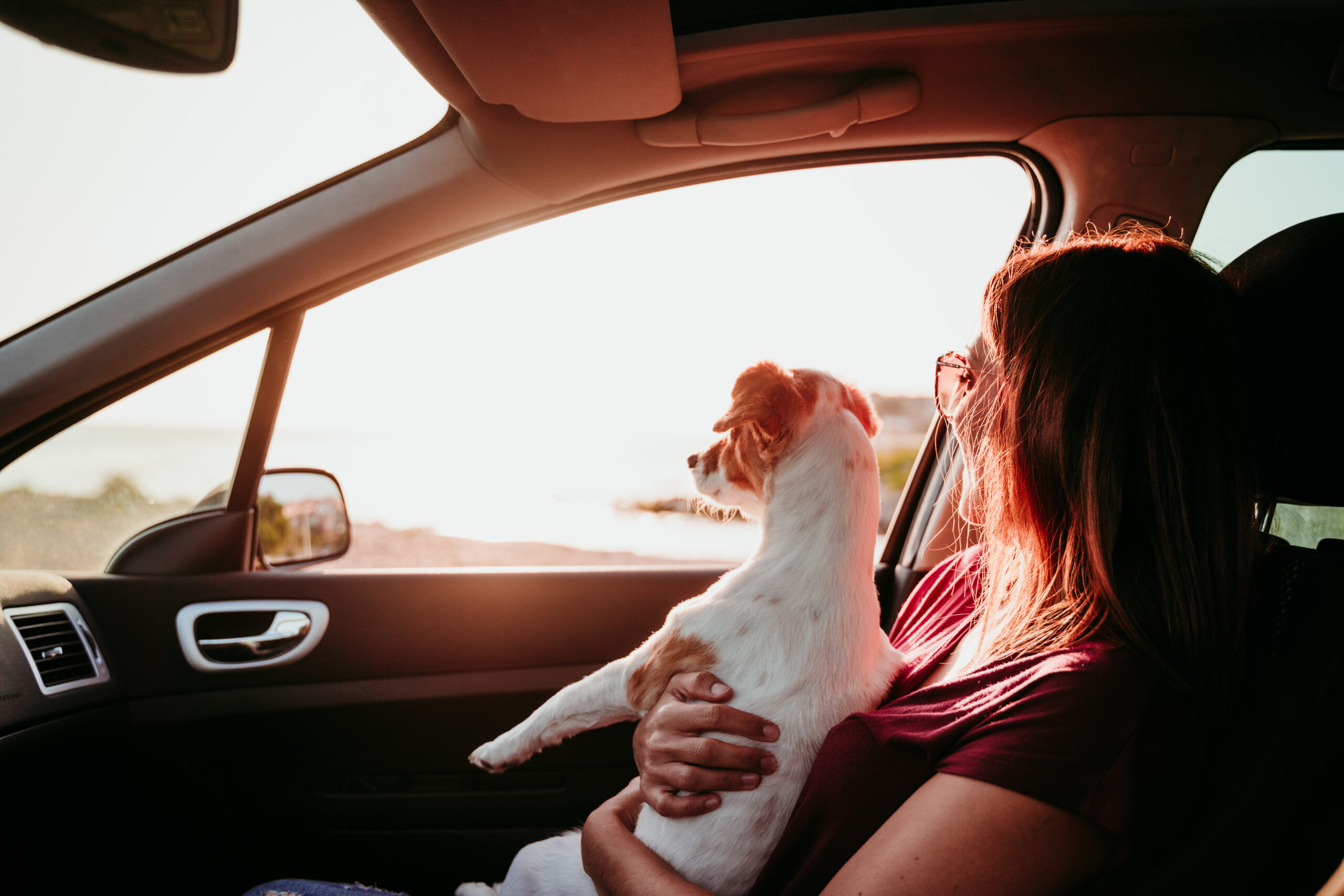 viagem com pet: dicas.