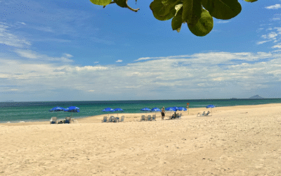 Maresias no verão: o que esperar da estação mais vibrante do ano